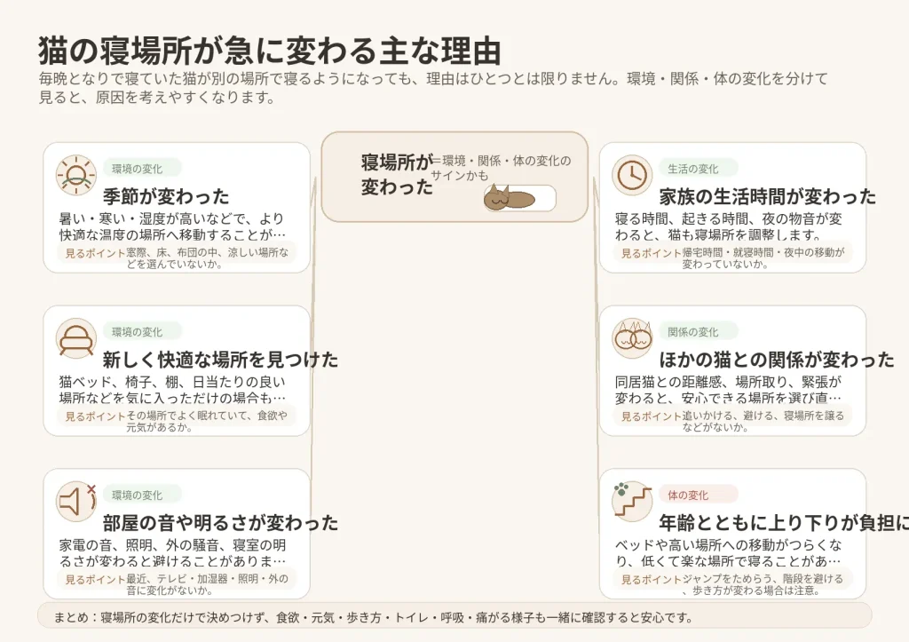 猫が隣で寝る主な理由｜猫の寝場所が変わる理由