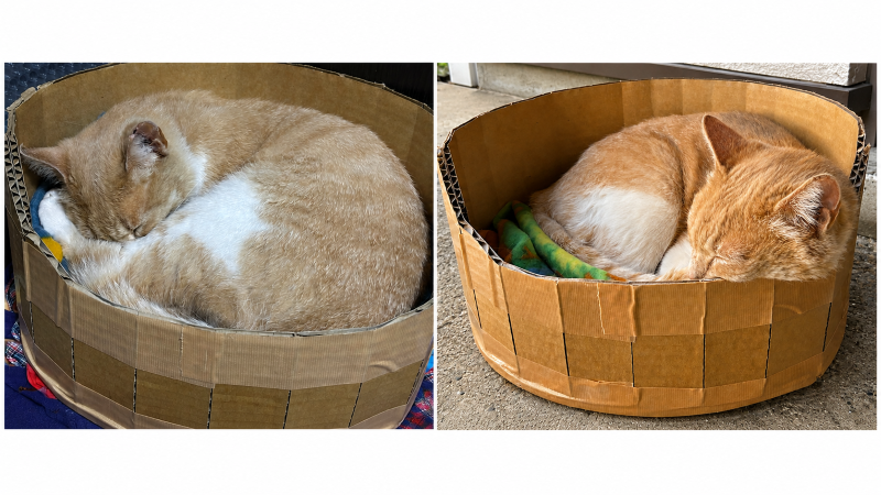 猫のおうち2
